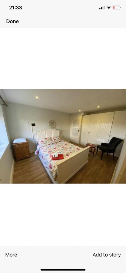 North Lodge Self Contained Guest Accommodations Kilkea Экстерьер фото
