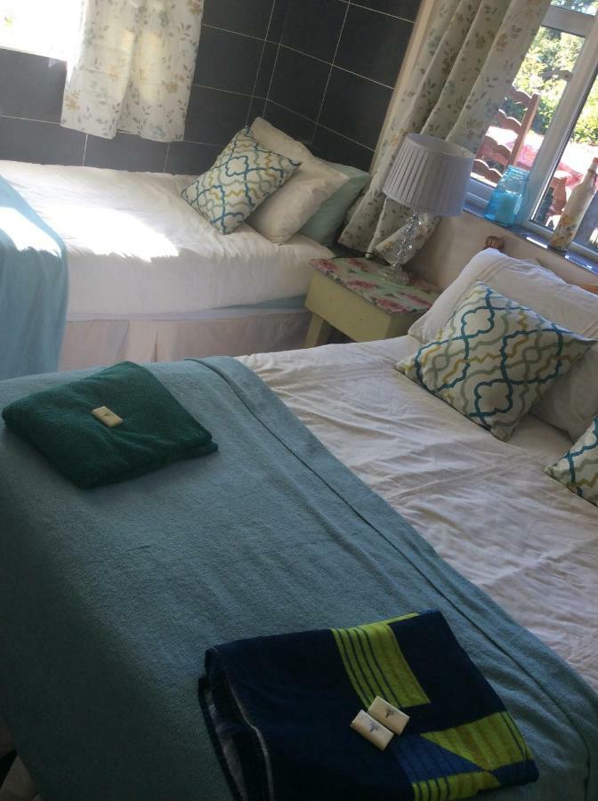 North Lodge Self Contained Guest Accommodations Kilkea Экстерьер фото