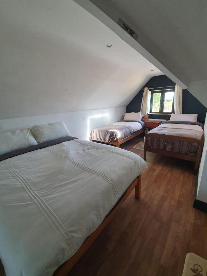 North Lodge Self Contained Guest Accommodations Kilkea Экстерьер фото